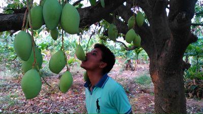 manubagali's profile picture. 