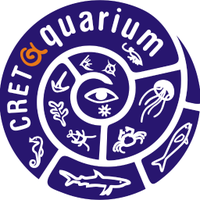 Cretaquarium(@Cretaquarium) 's Twitter Profile Photo