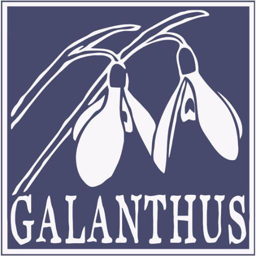 Des de 1999, Galanthus es dedica a l'estudi i divulgació del medi natural / Desde 1999, dedicados al estudio y divulgación del medio natural