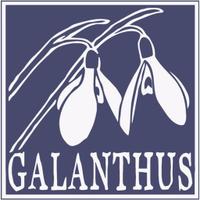 Galanthus Natura (@galanthusnatura) 's Twitter Profile