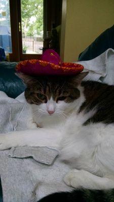 ShxprByna's profile picture. Yoga. Stage managing. Scuba. Rock climbing. Feminism. Surprisingly, not a vegetarian.