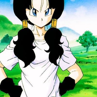 Videl____ Profile Picture