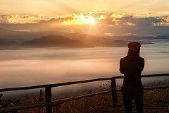 taytay88XO's profile picture. ~ Not All Who Wander Are Lost ~