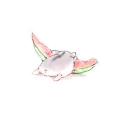 lanji2000's profile picture. 