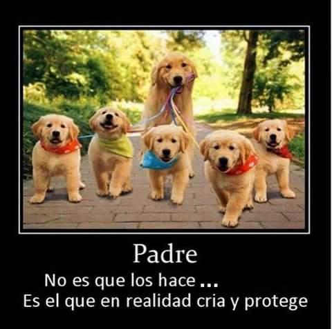 Tuiran14's profile picture. Analista en sistemas.
