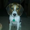 Laura Dickens - @ljdickens6363 - Twitter