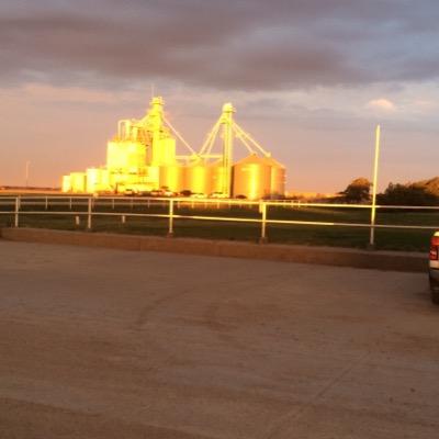 Husband to one , Dad to two, grandfather to three, Cattle feeder and Catholic