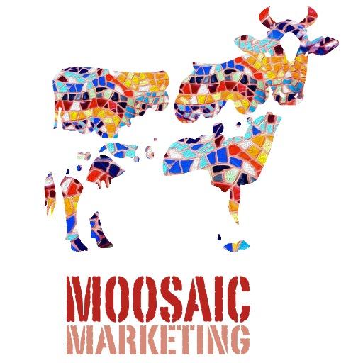 Moosaic Marketing’s Mission is to support and provide expertise to B2B organisations so they can define and align their future new marketing revenue strategies.