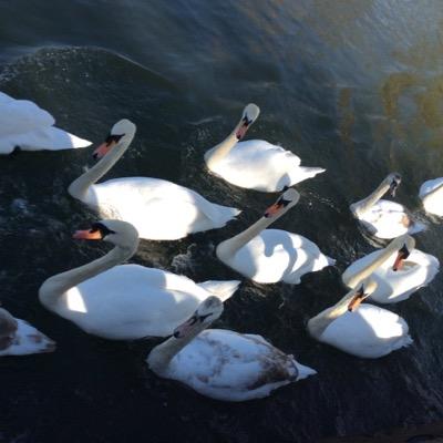 Z0XmBWUQbZY0A2u's profile picture. 