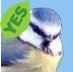 My birding tweets ~ I'm a birder from the UK... see my *Bird & Wildlife* website  for You Tube bird videos & Flickr bird photos + Bird links ~ Simon :-)