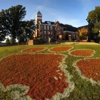 Clemson Confessions (@clem_confession) 's Twitter Profile