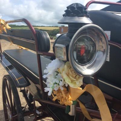 What better way to enjoy the Cornish countryside than a ride in one of our beautiful carriages drawn by a pair of stunning black Friesian Horses