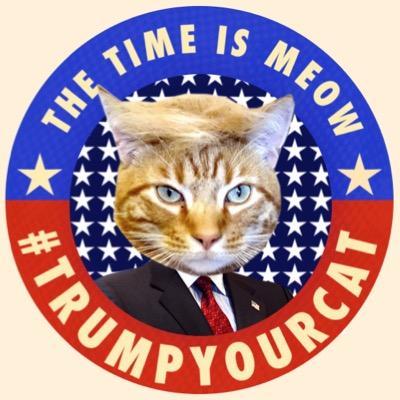 1.Brush your cat 2.Form the hair you brushed into a toupee and place toupee on cat 3.Share & tag @trumpyourcat or #trumpyourcat contact: trumpcats@gmail.com