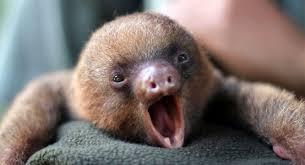 ragercudder's profile picture. trying to make a positive influence on Twitter. Here for the political maps.