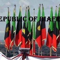 Chinyere Anyi Biafra (@anyibiafra) Twitter profile photo