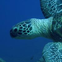 MCAF_NEAQ (@mcaf_neaq) 's Twitter Profile Photo MCAF_NEAQ (@mcaf_neaq) 's Twitter Profile Photo