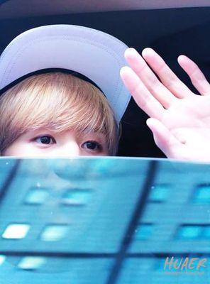 bellyobeo's profile picture. 