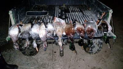 A company that got started with a love of duck hunting.