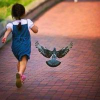 @ب ادب (@shahidhanif999) 's Twitter Profile