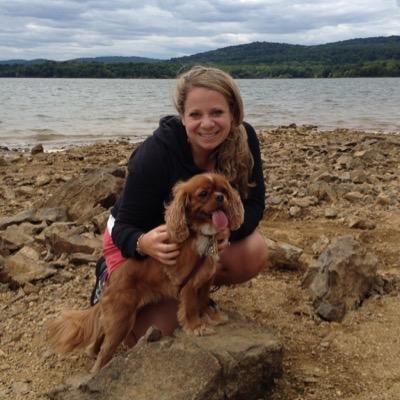 learnwithnicola's profile picture. 