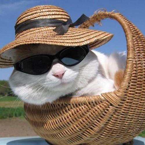 betsu1aggelikh's profile picture. Με ολα αυτα που γινονται λεω να το ριξω στη τρελα!!!!