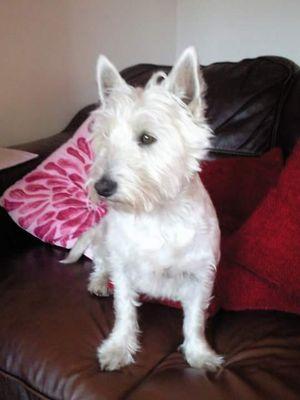 imsexydon's profile picture. 