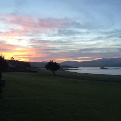 JeffFallick's profile picture. NorCal guy who loves my family, the Miami Dolphins and hopes Democracy survives.