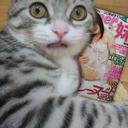 ta93 (@00615_sho) Twitter