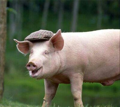 CameraBore's profile picture. 