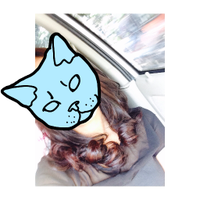 Dea Shakina (@deaguferol) 's Twitter Profile