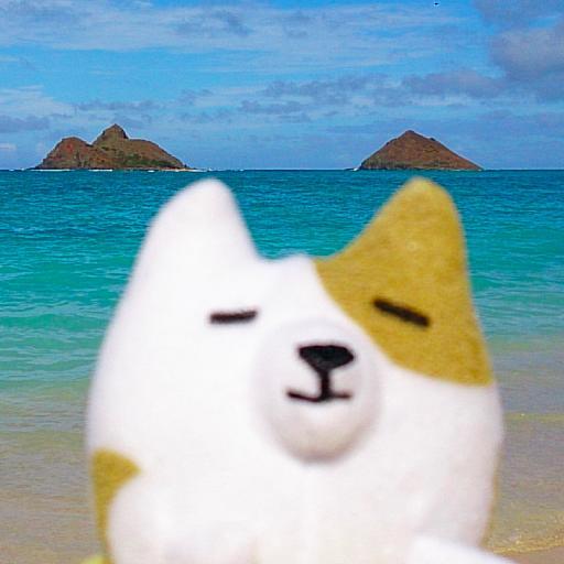 🐰: Kailua (Minirex ♂ 🌈 2019/06/16) 🐰: Moku Nui 🐰: Moku Iki (Minirex ♂ 🎂2018/11/20) 💕 Hawaii🌴 ♪Suede 🎥 John Wick 緋牡丹博徒 趣味垢 Ani Macarro @Ani_Macarro