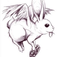 Zhi/Tom He (@stroodles) 's Twitter Profile