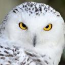 230eHarfangdesNeiges (@230eHN) Twitter