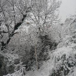 agurisse's profile picture. 