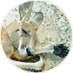 ope (@ope_ope) Twitter profile photo ope (@ope_ope) Twitter profile photo