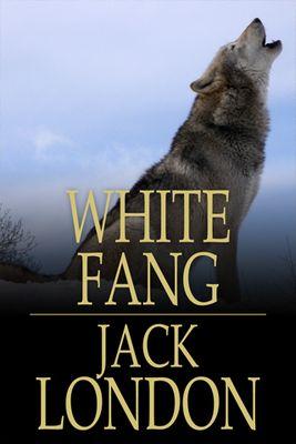 epic4robert's profile picture. 