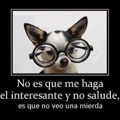 ximedelsol's profile picture. Corriendo por la vida y esperando tener un dia descanso :)