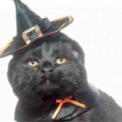 wclemo's profile picture. 