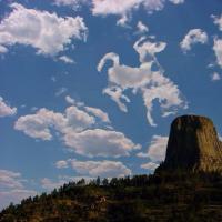 Tara King (@taralking89) 's Twitter Profile