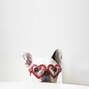 Sharon Chen Thomas - @sharonlovesthis - Twitter