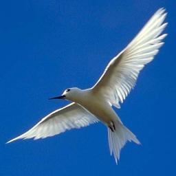 itprojects_ru's profile picture. IT Projects - компания SEO-профессионалов