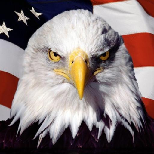 rduvall's profile picture. Fiscally and Socially conservative. christian.  Father & Husband. 4th generation Californian