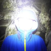 Kazuki Aruga (@kzkiq2nd) 's Twitter Profile
