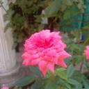 Johny Thomas - @709d52020ae9491 - Twitter