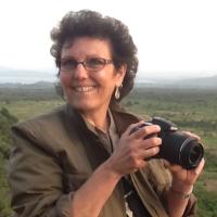 Donna Gradel (@gradelbahs) 's Twitter Profile