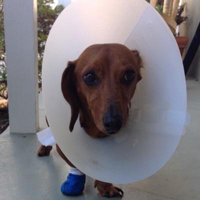 daspir22's profile picture. Late to the party...