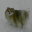 Meredith Dillard - @Meredithmyself - Twitter