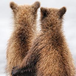 BearLeaSells's profile picture. Husband and wife who love collecting and sharing pieces from the older years, 20's - 80's. You'll also find gently used household items, games, and more.