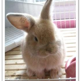 nori2's profile picture. 当たり前のことが当たり前じゃない、善も悪もヒトの基準やけど、あかんもんはあかんと言える自分でいたいです。