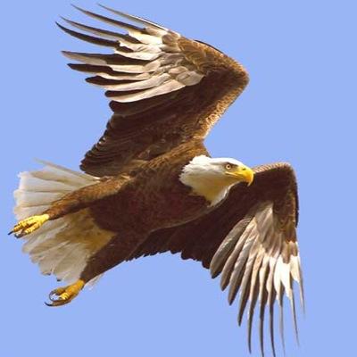 وَ اخجل منك ربي حينما تهُديني يومّا آخر لعمريْ دونْ ان انتفع بهْ لـــِ آستحق جنتكْ ♡